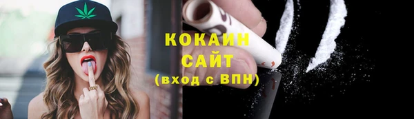 прущие грибы Снежногорск