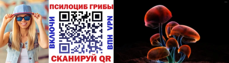 Псилоцибиновые грибы мухоморы Белогорск